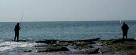 Surfcasting depuis un estran rocheux dans le PNM des estuaires picards et de la mer d'Opale © Patrick Lacampagne